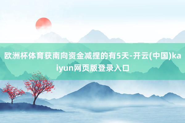 欧洲杯体育获南向资金减捏的有5天-开云(中国)kaiyun网页版登录入口