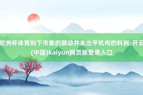 欧洲杯体育刻下市集的颤动并未出乎机构的料到-开云(中国)kaiyun网页版登录入口