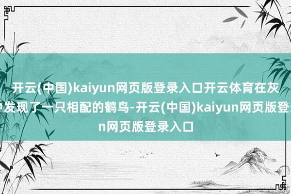 开云(中国)kaiyun网页版登录入口开云体育在灰鹤群中发现了一只相配的鹤鸟-开云(中国)kaiyun网页版登录入口